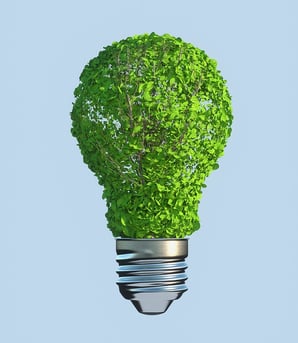 Green Bulb